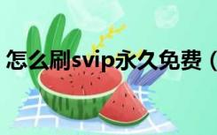 怎么刷svip永久免费（免费刷svip永久教程）