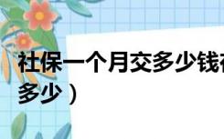 社保一个月交多少钱在哪里查（社保一个月交多少）