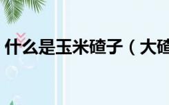 什么是玉米碴子（大碴子和玉米有什么区别）