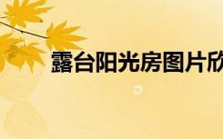 露台阳光房图片欣赏（露台阳光房）