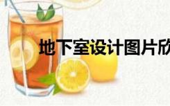 地下室设计图片欣赏（地下室设计）