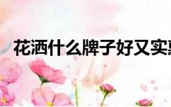 花洒什么牌子好又实惠（花洒什么牌子好）