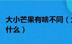 大小芒果有啥不同（大芒果和小芒果的区别是什么）