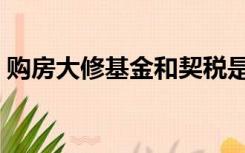 购房大修基金和契税是多少（购房大修基金）