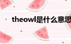 theowl是什么意思（owl是什么意思）