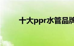 十大ppr水管品牌（家装ppr水管）