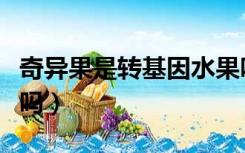 奇异果是转基因水果吗（奇异莓是转基因水果吗）