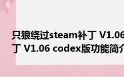只狼绕过steam补丁 V1.06 codex版（只狼绕过steam补丁 V1.06 codex版功能简介）