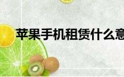 苹果手机租赁什么意思（租赁什么意思）