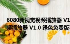 6080新视觉视频播放器 V1.0 绿色免费版（6080新视觉视频播放器 V1.0 绿色免费版功能简介）