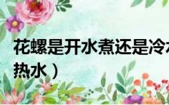 花螺是开水煮还是冷水煮（煮花螺是冷水还是热水）