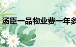 汤臣一品物业费一年多少（汤臣一品物业费）