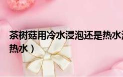 茶树菇用冷水浸泡还是热水泡多久（茶树菇用冷水浸泡还是热水）