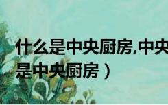 什么是中央厨房,中央厨房是什么意思?（什么是中央厨房）