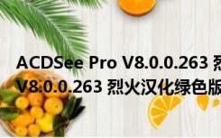ACDSee Pro V8.0.0.263 烈火汉化绿色版（ACDSee Pro V8.0.0.263 烈火汉化绿色版功能简介）