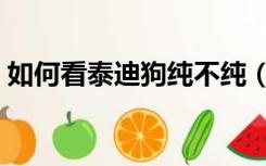 如何看泰迪狗纯不纯（泰迪犬怎么看纯不纯）