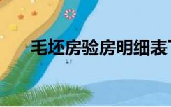 毛坯房验房明细表下载（毛坯房验房）