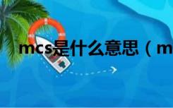 mcs是什么意思（mc是什么意思的缩写）
