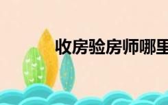 收房验房师哪里找（收楼验房）