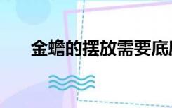 金蟾的摆放需要底座吗（金蟾的摆放）