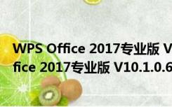 WPS Office 2017专业版 V10.1.0.6749 官方版（WPS Office 2017专业版 V10.1.0.6749 官方版功能简介）