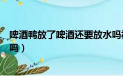 啤酒鸭放了啤酒还要放水吗视频（啤酒鸭放了啤酒还要放水吗）