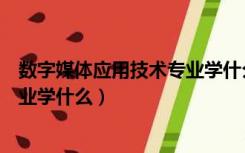 数字媒体应用技术专业学什么调音器（数字媒体应用技术专业学什么）