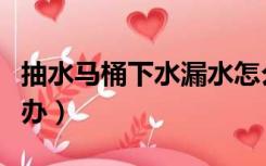 抽水马桶下水漏水怎么修（抽水马桶漏水怎么办）