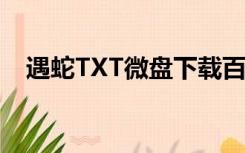 遇蛇TXT微盘下载百度云（遇蛇txt微盘）