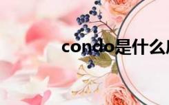 condo是什么房子（condo）