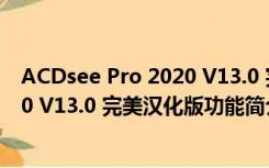 ACDsee Pro 2020 V13.0 完美汉化版（ACDsee Pro 2020 V13.0 完美汉化版功能简介）