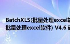 BatchXLS(批量处理excel软件) V4.6 破解版（BatchXLS(批量处理excel软件) V4.6 破解版功能简介）