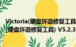 Victoria(硬盘坏道修复工具) V5.2.3 汉化绿色版（Victoria(硬盘坏道修复工具) V5.2.3 汉化绿色版功能简介）