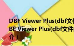 DBF Viewer Plus(dbf文件阅读器) V1.74 绿色免费版（DBF Viewer Plus(dbf文件阅读器) V1.74 绿色免费版功能简介）