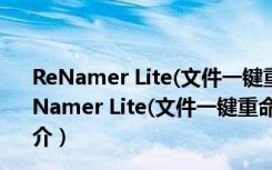 ReNamer Lite(文件一键重命名软件) V7.2.0.3 绿色版（ReNamer Lite(文件一键重命名软件) V7.2.0.3 绿色版功能简介）