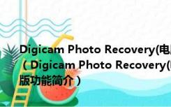 Digicam Photo Recovery(电脑照片恢复软件) V1.9.1.0 绿色汉化版（Digicam Photo Recovery(电脑照片恢复软件) V1.9.1.0 绿色汉化版功能简介）