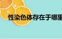 性染色体存在于哪里（性染色体存在于）