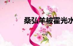 桑弘羊被霍光水煮了（桑弘羊）