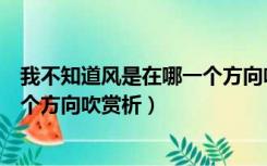 我不知道风是在哪一个方向吹表达了（我不知道风是在哪一个方向吹赏析）