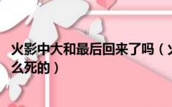 火影中大和最后回来了吗（火影忍者大和队长现在死了吗 怎么死的）