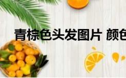 青棕色头发图片 颜色（青棕色头发图片）