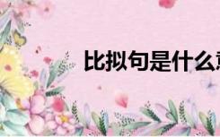 比拟句是什么意思（比拟句）