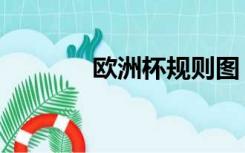欧洲杯规则图（欧洲杯规则）