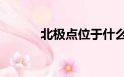 北极点位于什么大洋（北极点）