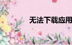 无法下载应用程序什么意思