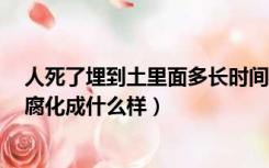 人死了埋到土里面多长时间能腐化（人死后埋土里1百天会腐化成什么样）