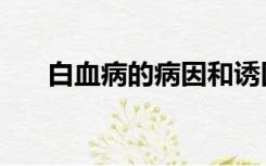 白血病的病因和诱因（白血病的病因）