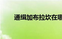 通缉加布拉坎在哪（通缉加布拉坎）