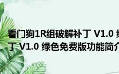 看门狗1R组破解补丁 V1.0 绿色免费版（看门狗1R组破解补丁 V1.0 绿色免费版功能简介）