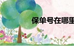 保单号在哪里看（保单号）
